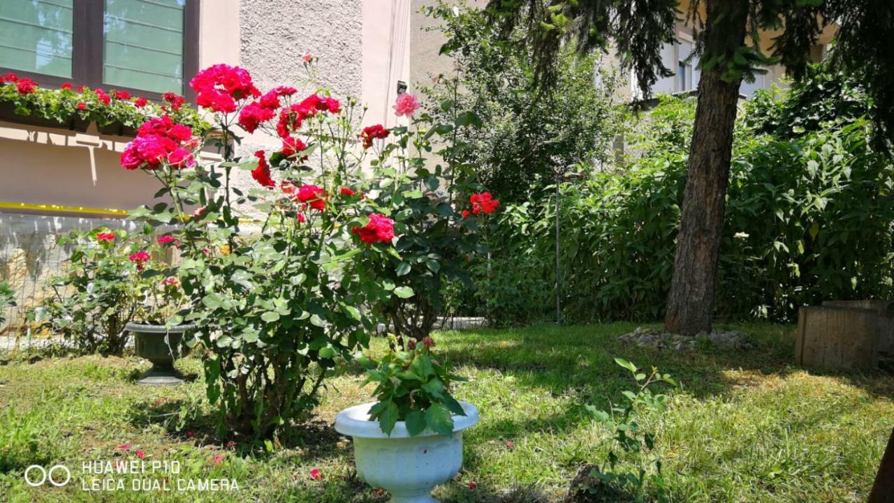 Apartament Hunter Apartment Cluj-Napoca Exterior photo