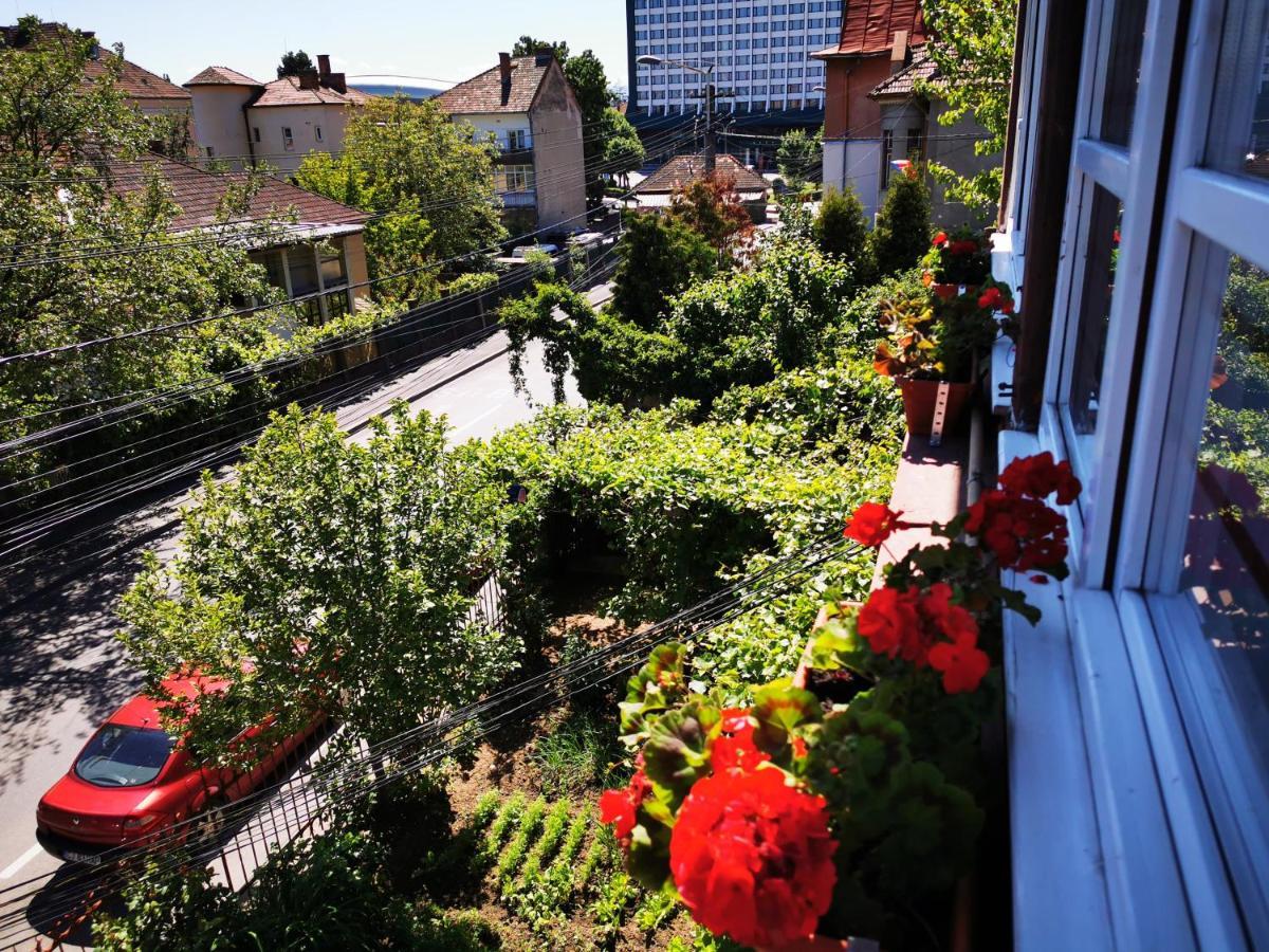 Apartament Hunter Apartment Cluj-Napoca Exterior photo